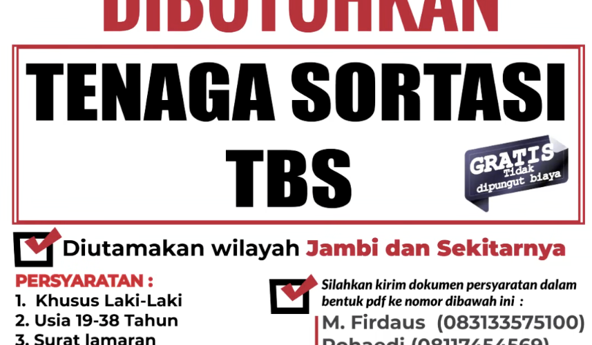 Lowongan Tenaga Sortasi TBS
