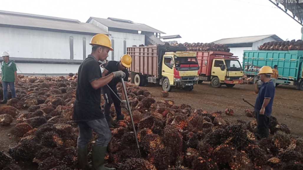Industri perkebunan kelapa sawit